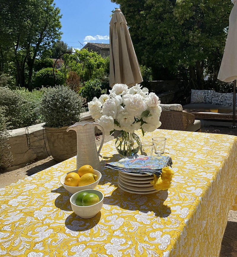 Blue Birds Napkin Set (Set of 2) – blue/yellow/red – bohemian floral design – Jardin Botanique – Miss June Paris – 3